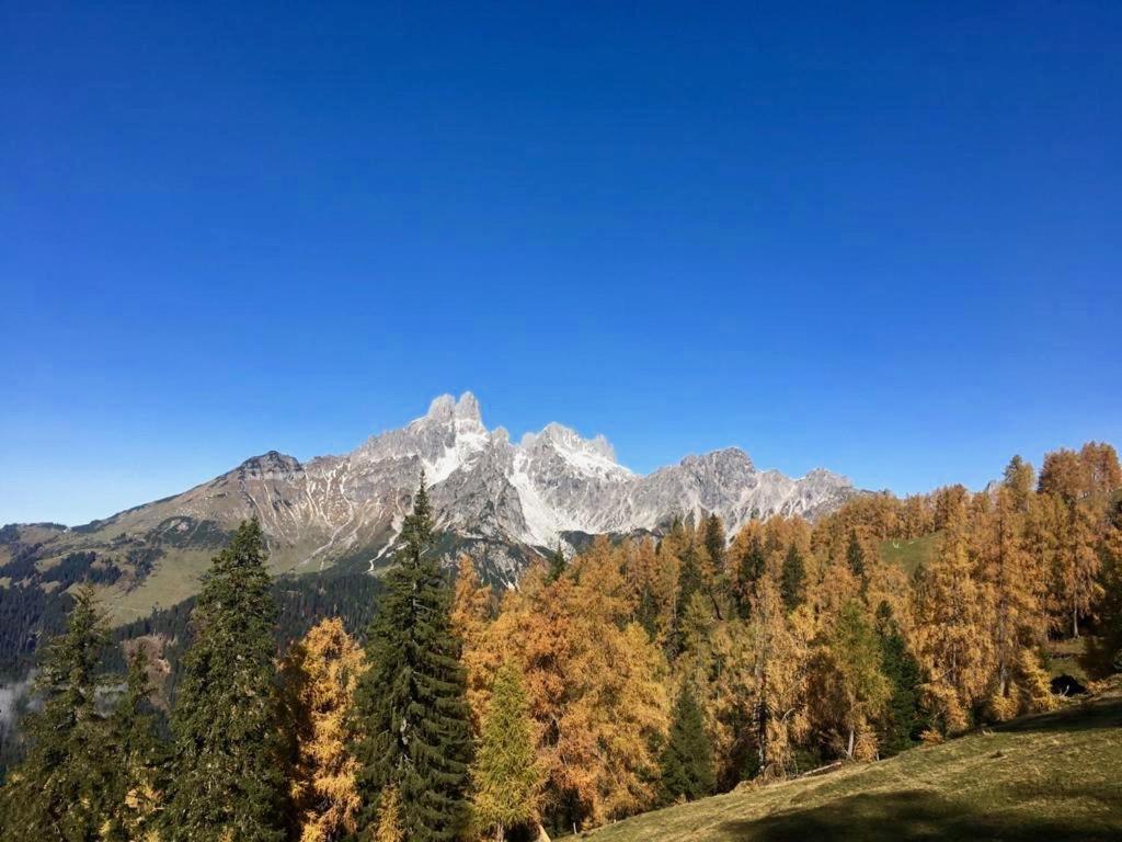 Appartementhaus Reiter Village Room Altenmarkt im Pongau Exteriör bild